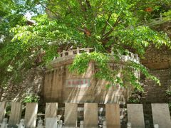 -藏山旅游风景区