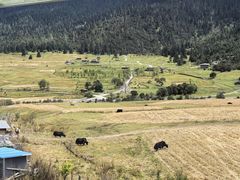 -鲁朗边巴次仁农家石锅