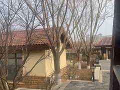 -大连金石滩绿发温泉假日酒店