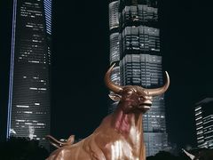 -陆家嘴中心绿地