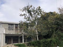 -东沙渔村