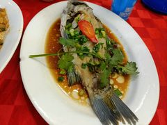 -先鲜鲫鱼粥