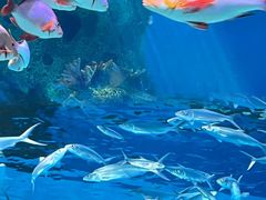 -泉城欧乐堡海洋极地世界