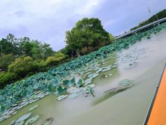 -东湖景区
