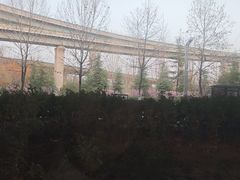 -郑州植物园