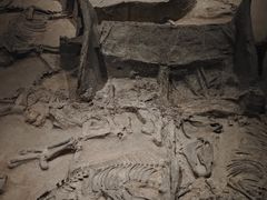 -北京大葆台遗址博物馆