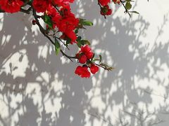 -陶然亭公园