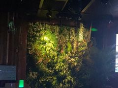 -星聚会KTV(金狮大厦店)