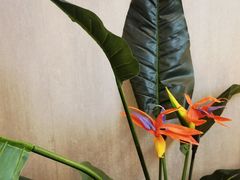 -必胜客(桐梓坡店)