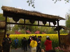 -圩墩遗址公园