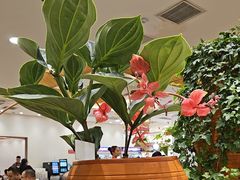 -第六季自助餐厅(北太平庄店)