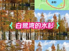 -白鹭湾湿地公园