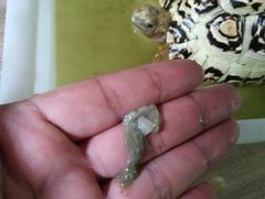 -安安宠医·安宠宠物医院