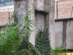 -新天地活力PARK