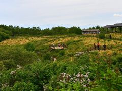 -野三坡百草畔景区