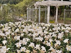 -石家庄市植物园
