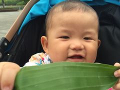 -洪湖家庭农场·团建·露营·会议
