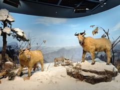 -陕西自然博物馆