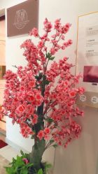 -悦肌YJ FOR FACE皮肤管理中心