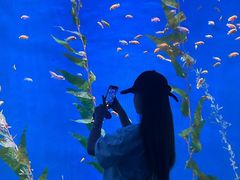 -欢乐海岸海洋奇梦馆