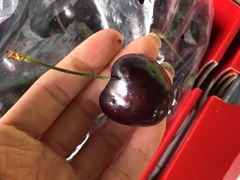 -东方鼎信农副产品交易中心