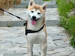 -美联众合动物医院·24h转诊中心