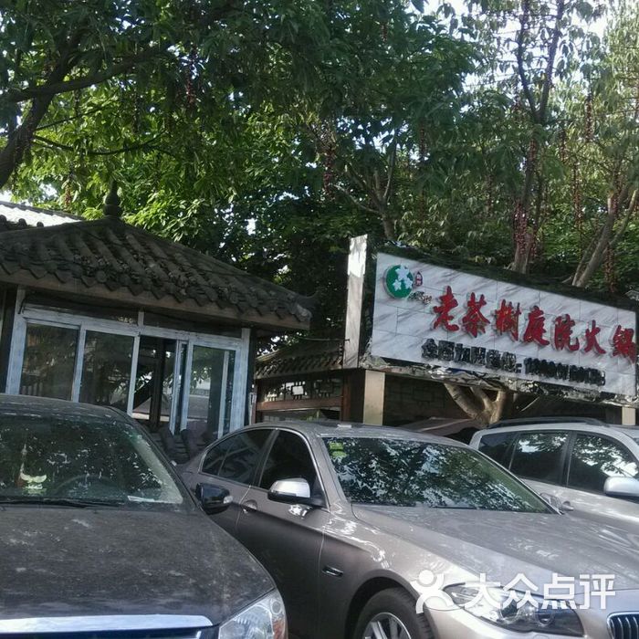老茶树庭院火锅