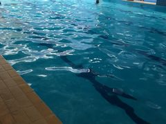 -零距离国际健身游泳中心(九龙湖店)