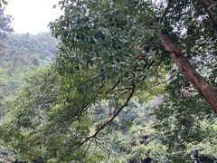 -敬亭山风景名胜区