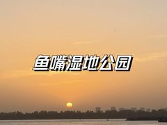 -鱼嘴湿地公园