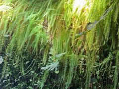 -辛香汇·现炒川菜(武进吾悦店)
