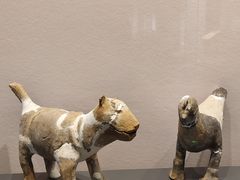 -贵州省博物馆(新馆)
