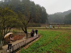 -韶山毛泽东同志故居