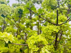 -盘龙城国家考古遗址公园