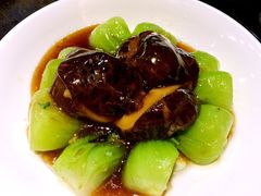 -糖朝(尖沙咀店)