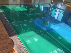 -广东惠东海龟国家级自然保护区