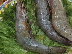 -清真·马家火锅美食城(镇江北路店)