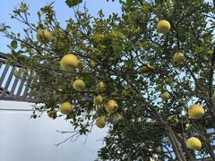-杭州雅谷泉山庄酒店-餐厅