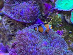 -Zoolung Zoolung动物主题公园(海信广场店)