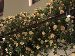 -鲁城往事(游客中心店)
