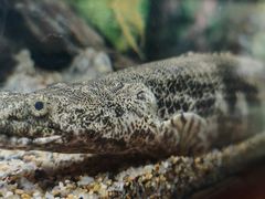 -太平洋海底世界