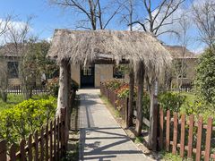 -盐城丹顶鹤湿地生态旅游区