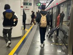 -大望路(地铁站)