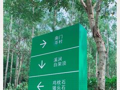 -火炉山森林公园