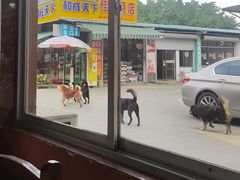 -万尾农贸市场