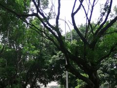 -水濂山森林公园