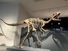 -自贡恐龙博物馆