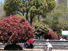 -南翔镇银翔湖公园