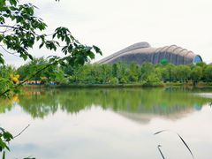 -泗洪洪泽湖湿地景区