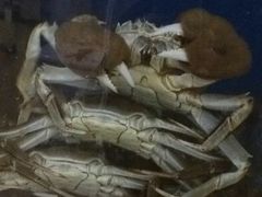 android_upload_pic-陈长荣生态大闸蟹(盐城店)